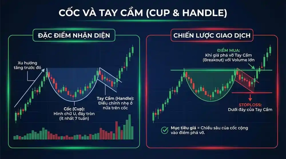 Cốc Tay Cầm