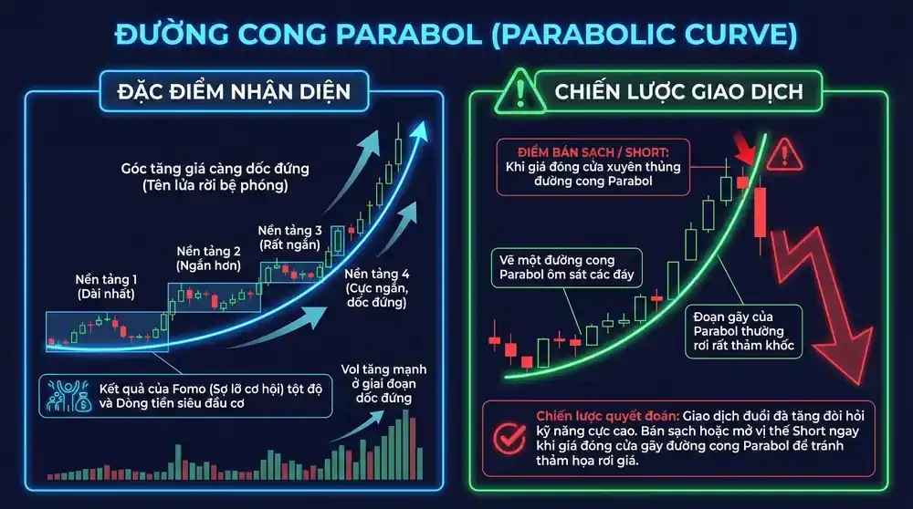 Parabolic Curve