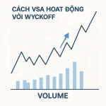 Bài 23: Tổng quan về cách VSA hoạt động với Wyckoff