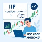 Bài 27: User Defined Functions – IIF function